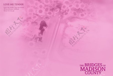 粉红色婚纱照相册设计模板