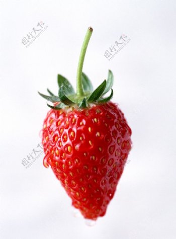 水果草莓高清晰摄影