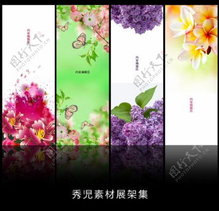 精美植物花卉设计素材画面