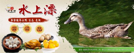 农家乐鸭子鸡农产品宣传