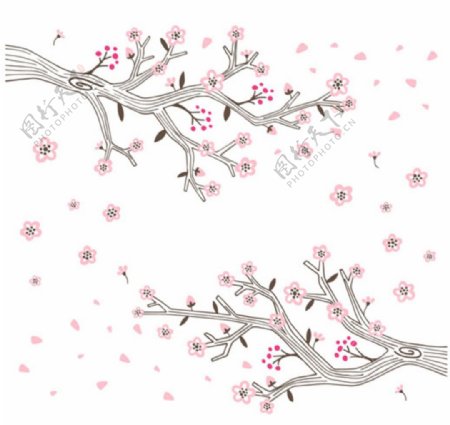 手绘春季樱花背景