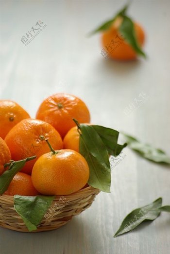 篮子里的橘子