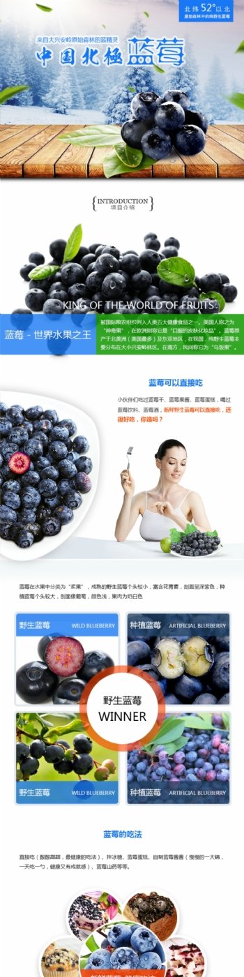 蓝莓众筹网页素材