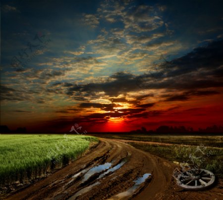 黄昏落日下的道路与麦田图片