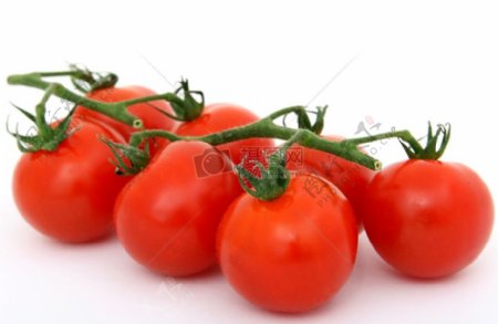 自然健康的有机辣椒西红柿