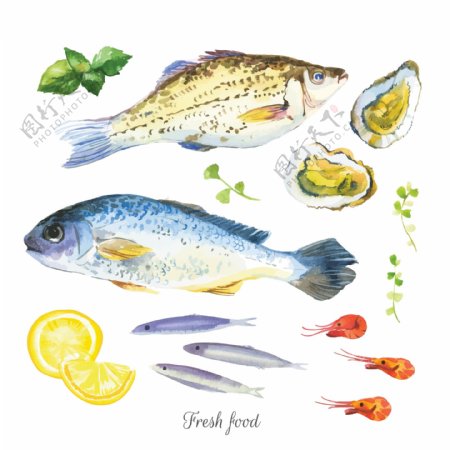 手约新鲜的海鲜食材插画