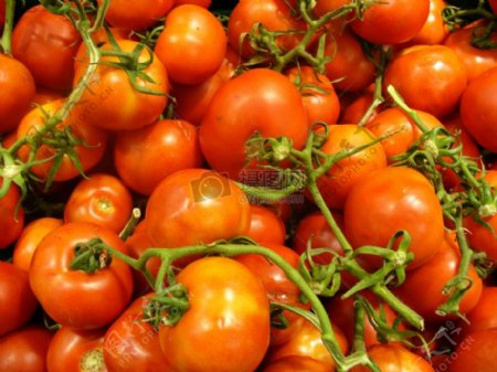 西红柿在市场