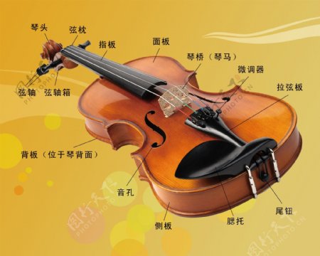 小提琴介绍展板