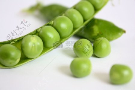 绿颜色的豌豆