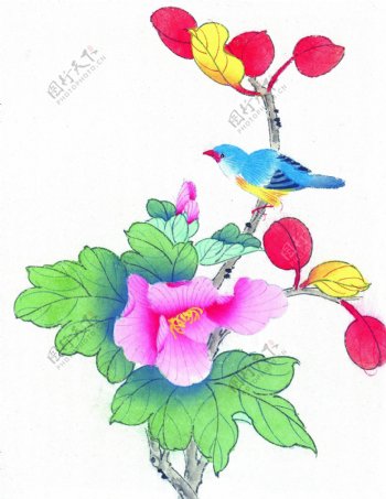 水墨喜鹊花卉图片