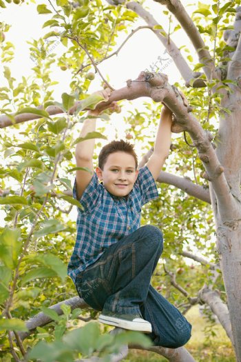 站在树上的小男孩图片