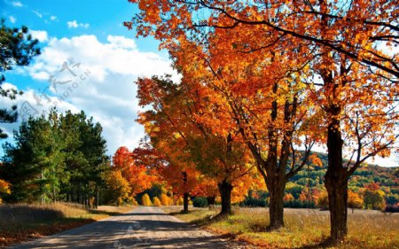 美丽秋天道路风景图片