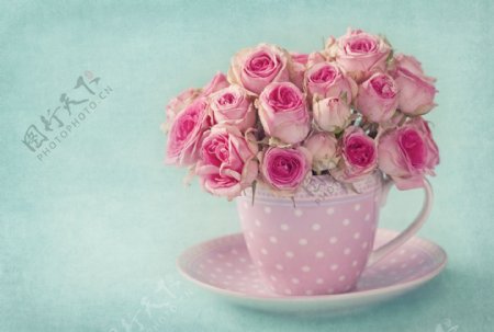 咖啡杯子里的鲜花图片