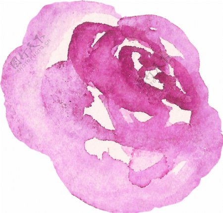 侧放紫色水彩墨花朵图片素材