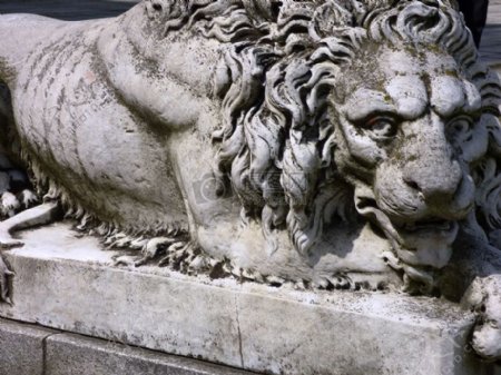 门前的狮子雕像