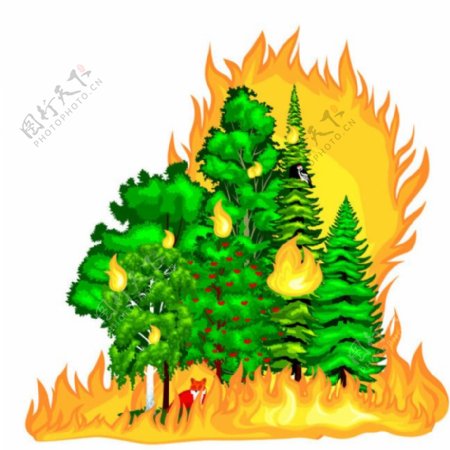 火灾树林图片