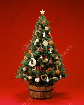 精美圣诞树素材图片