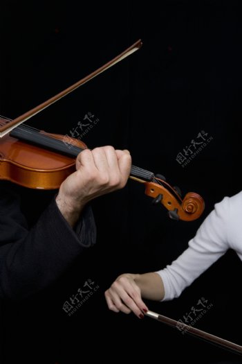 演奏小提琴特写图片