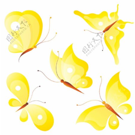 黄蝴蝶图案矢量素材