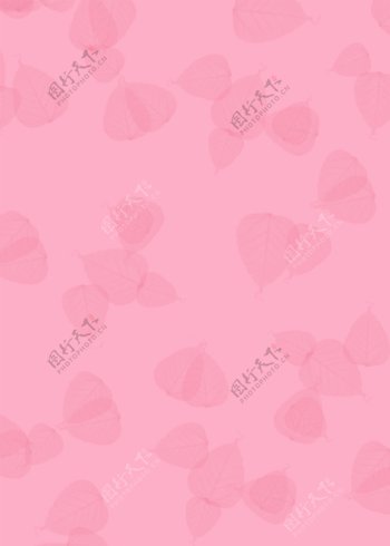 粉色背景叶子图片