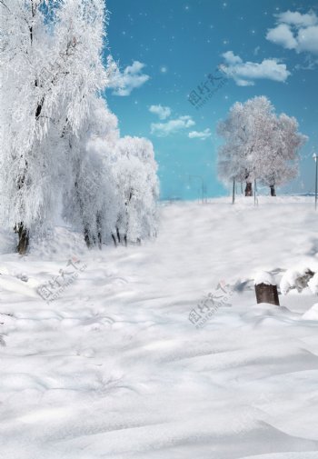 皑皑白雪与雾凇影楼摄影背景图片