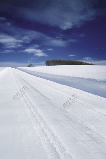 冰雪覆盖的公路影楼摄影背景图片