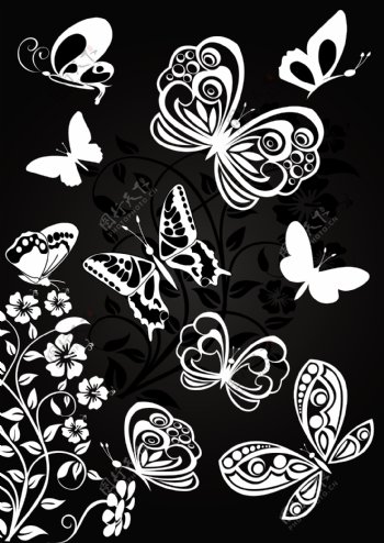 各种蝴蝶和花纹艺术矢量素材