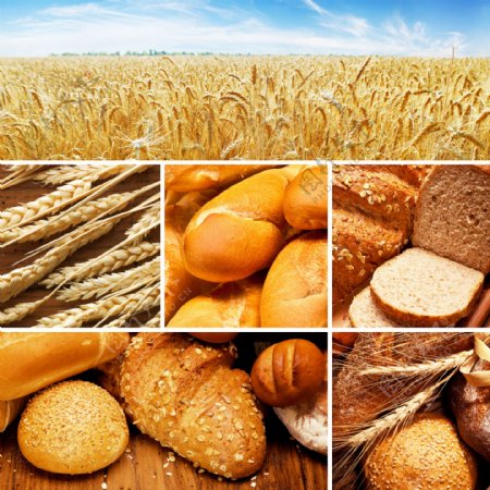 麦田面包图片