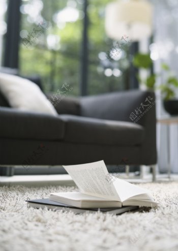 地毯上的书籍