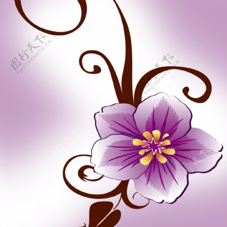 紫色花纹装饰画