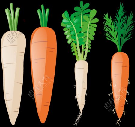 胡萝卜蔬菜免抠png透明图层素材