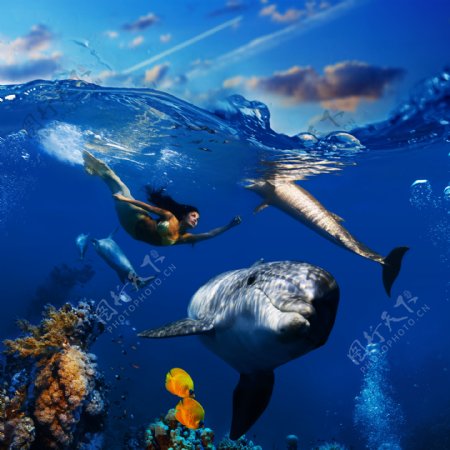 海底世界高清摄影图图片