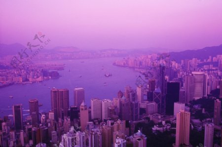 香港城市鸟瞰图图片