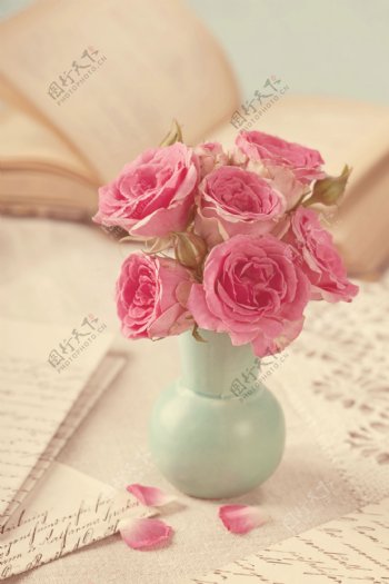 玫瑰花花瓶图片