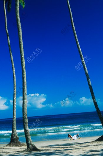 海边躺在椰子树下休息的人图片图片