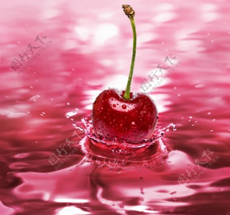 水面上的樱桃图片