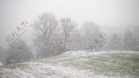 冬季雪景视频素材