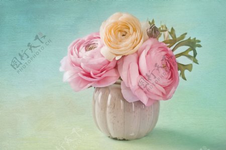 美丽玫瑰花瓶图片