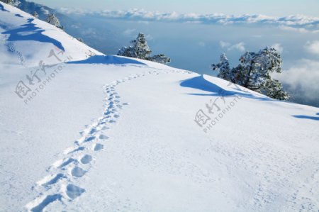 美丽雪景图片