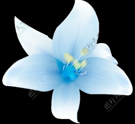 蓝色花朵元素