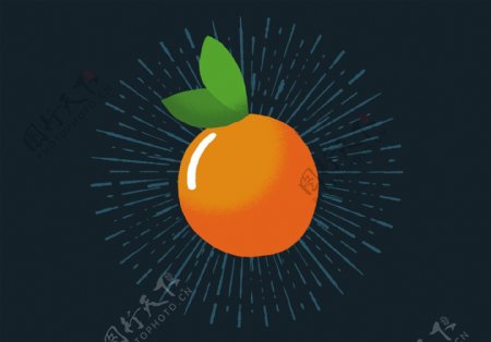 手绘橙子插画素材