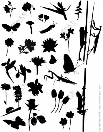 花和昆虫图案