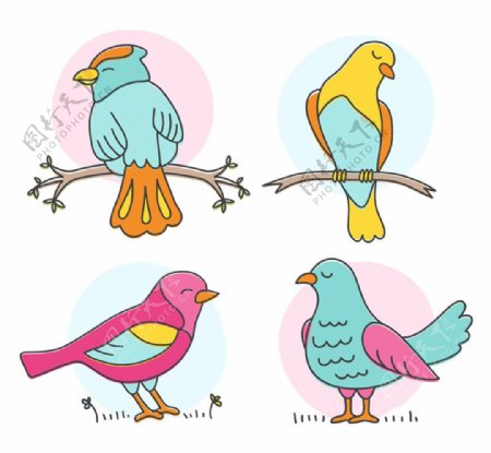 4种彩色鸟类设计矢量素材