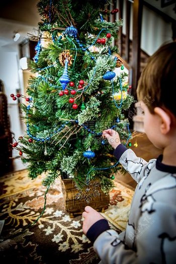节日装饰圣诞节儿童圣诞节树装饰修整的树