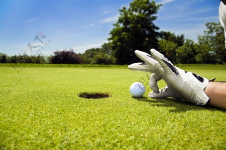 高尔夫球与球洞图片