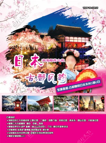 日本旅行樱花素材日本彩页设计