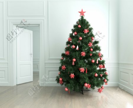 白色房间和圣诞树