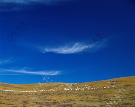 美丽草原风景图片