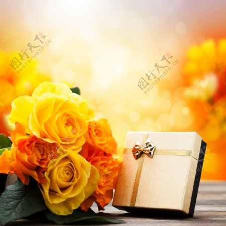 黄色玫瑰花与情人节礼物图片