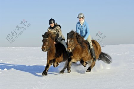 雪里地骑马的两个女孩图片